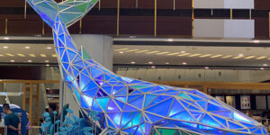 rpet whale at maritime